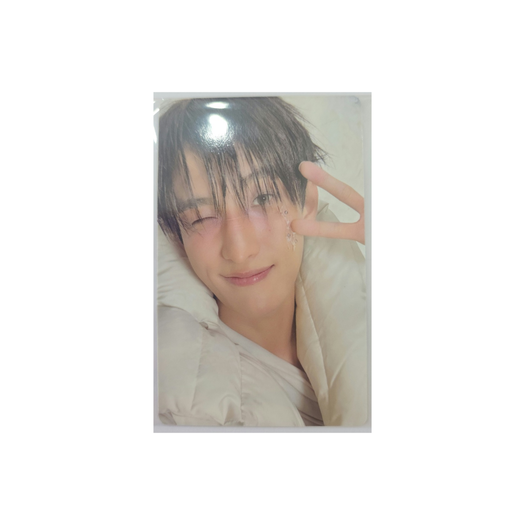 Seventeen - Photocards (POB de Happy Burstday WSG)