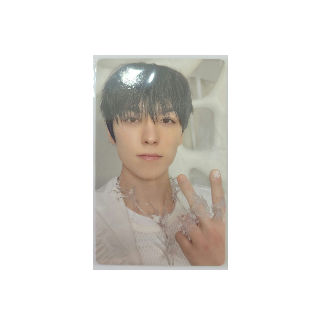 Seventeen - Photocards (POB de Happy Burstday WSG)
