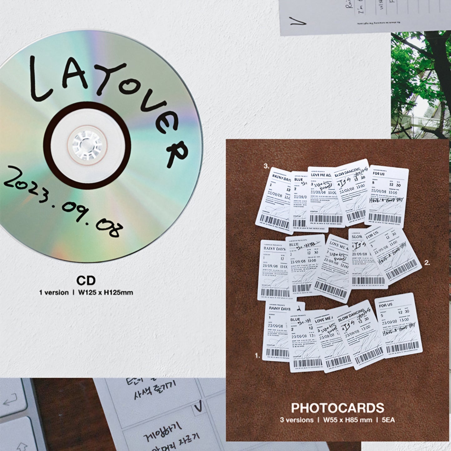(RE-STOCK) V - Layover