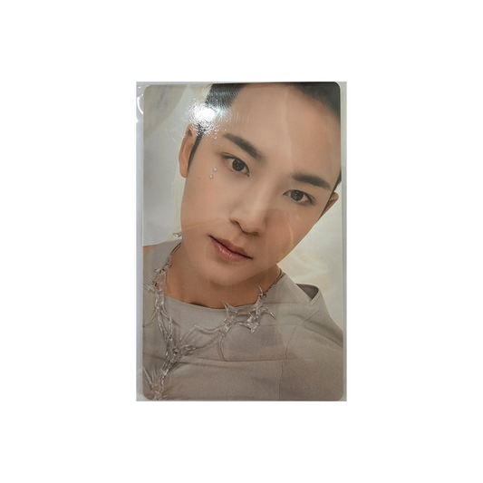 Seventeen - Photocards (POB de Happy Burstday WSG)